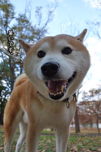 4日ブログ2