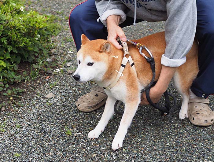 2日ブログ５