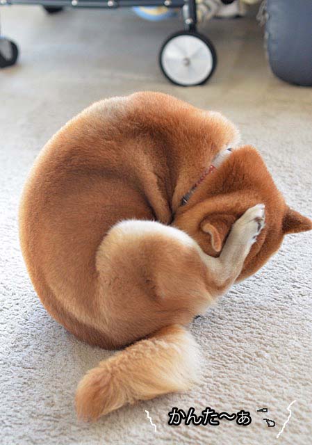 8日ブログ6