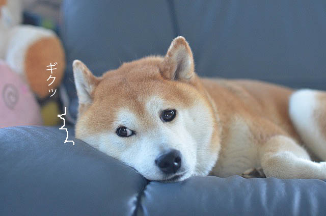 1日ブログ5