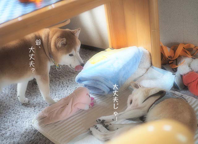 9日ブログ3