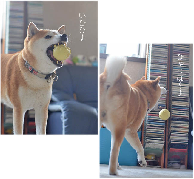 14日ブログ7