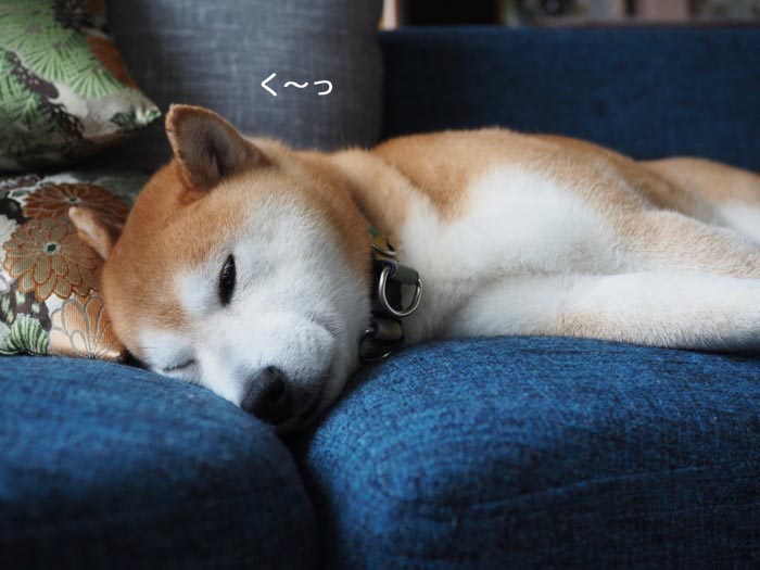 10日ブログ２