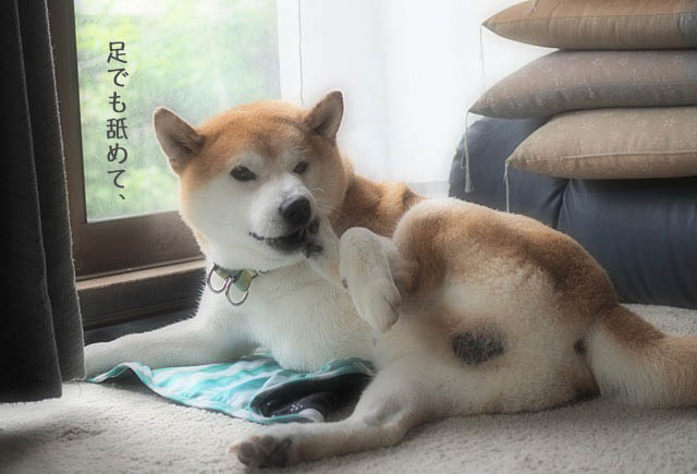 13日ブログ2