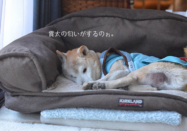 26日ブログ2