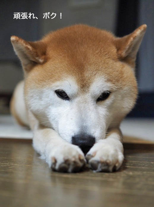 19日ブログ４