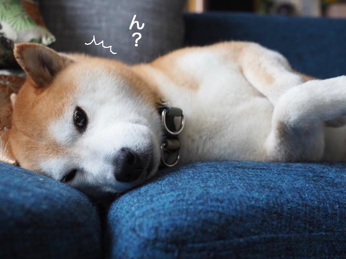 10日ブログ３