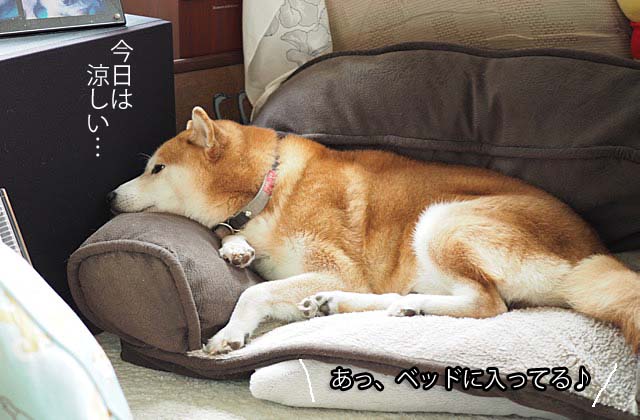 4日ブログ7
