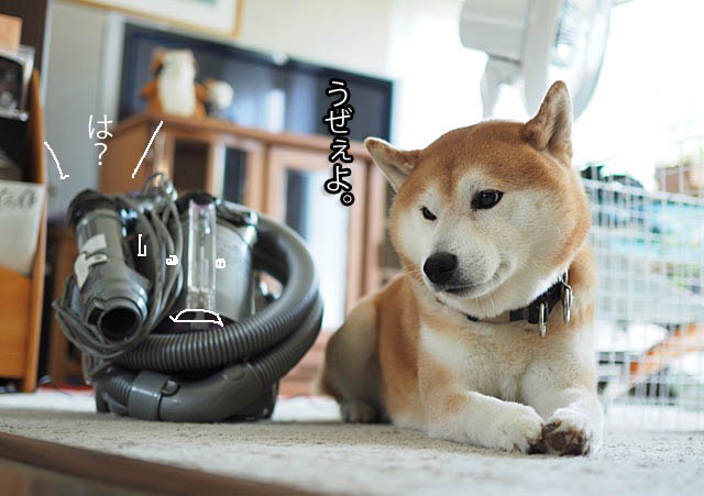 24日ブログ4