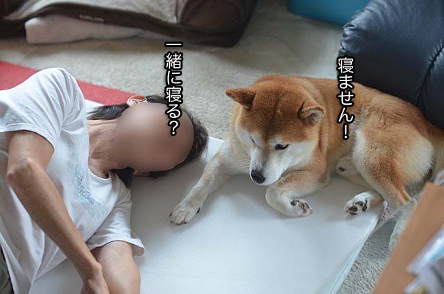 8日ブログ3