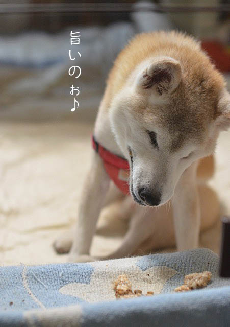 1日ブログ6
