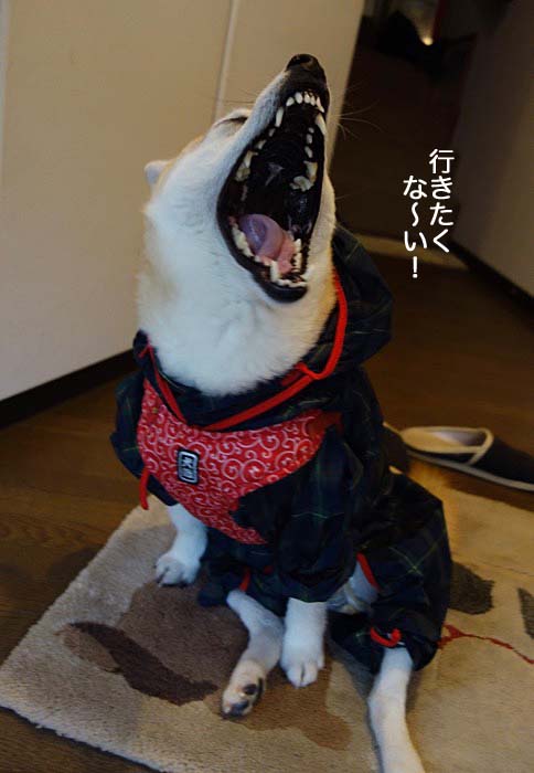 1日ブログ３