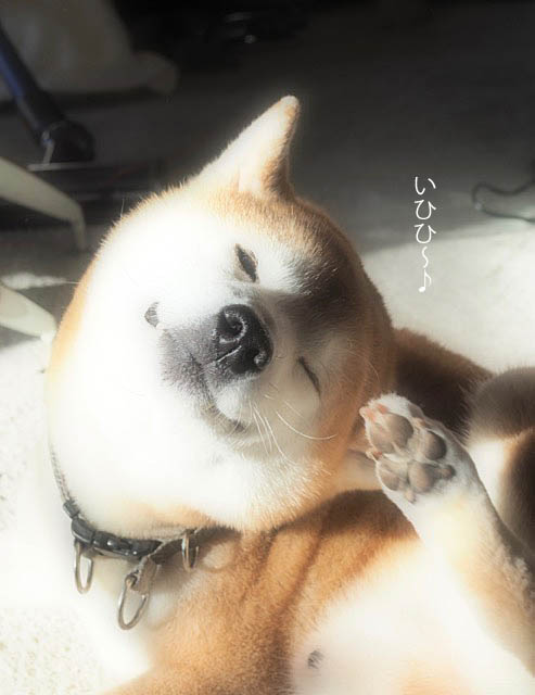 13日ブログ6