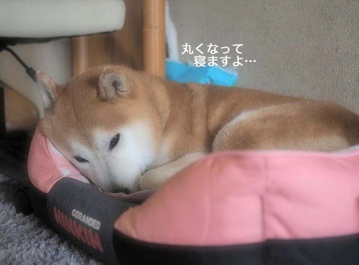 8日ブログ３