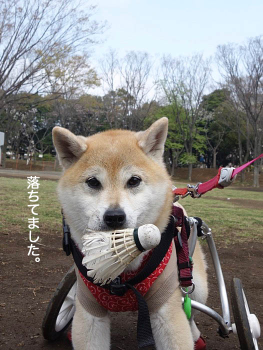 22日ブログ６