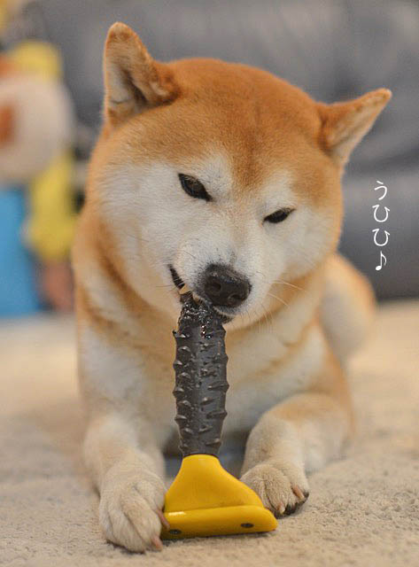 13日のブログ12