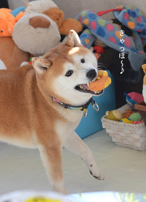 12日ブログ3