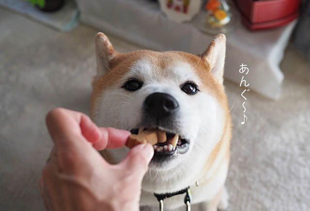 1日ブログ3