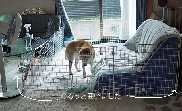 7日ブログ2