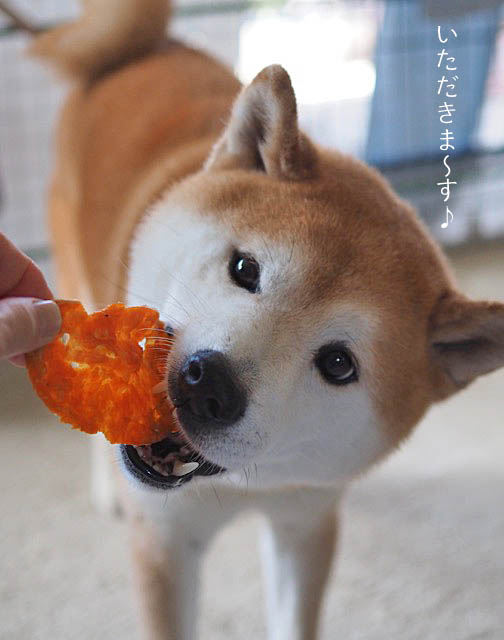 16日ブログ8