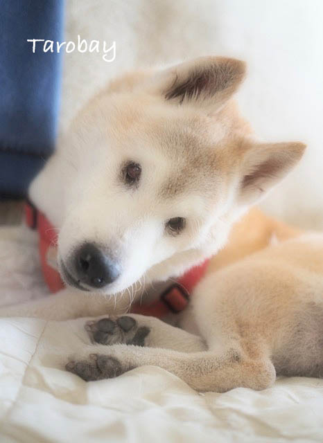 12日ブログ5