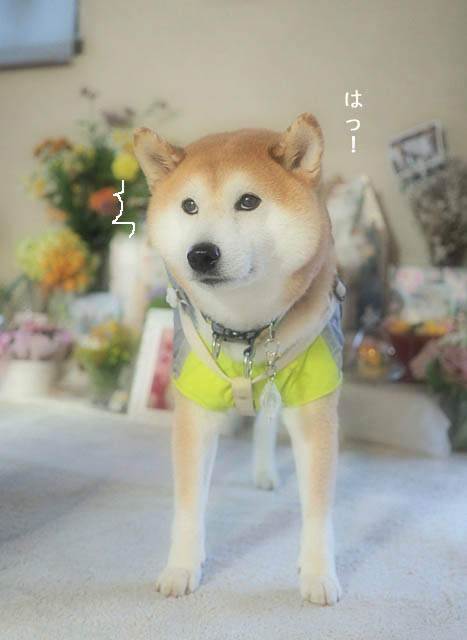 6日ブログ4