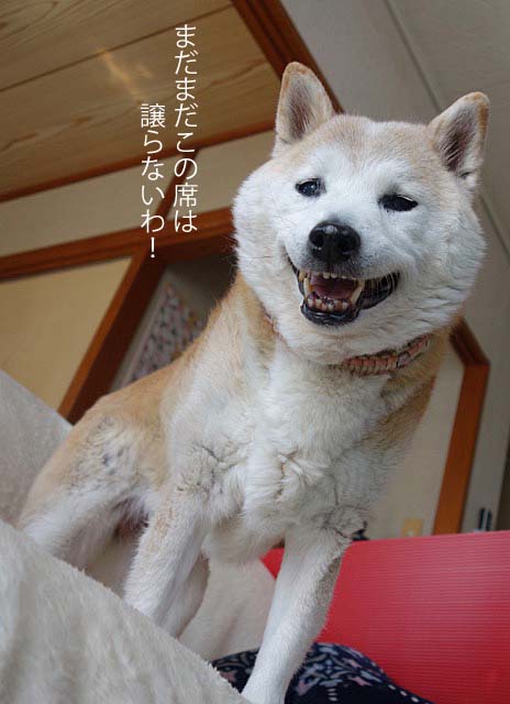 14日ブログ2