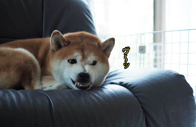 7日ブログ7