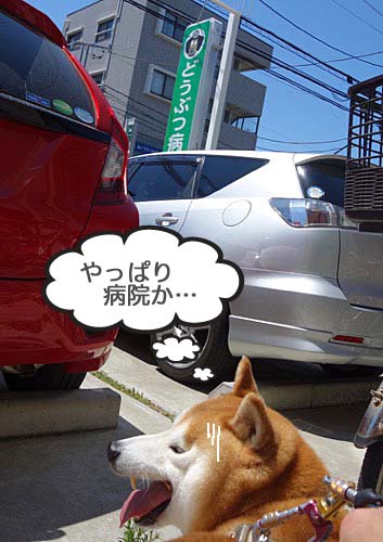 8日ブログ４