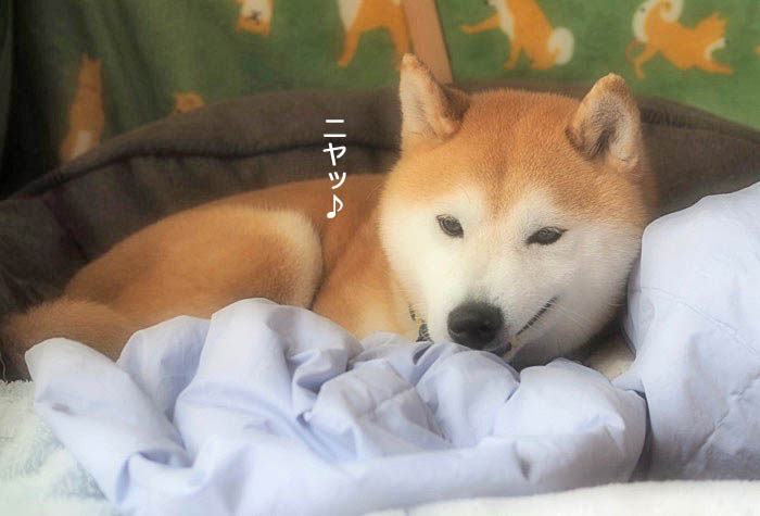 23日ブログ５