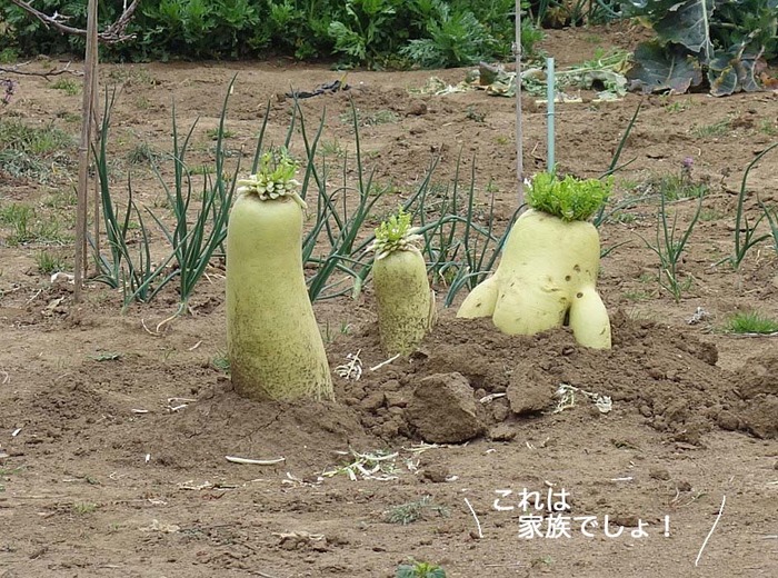 28日夜ブログ１