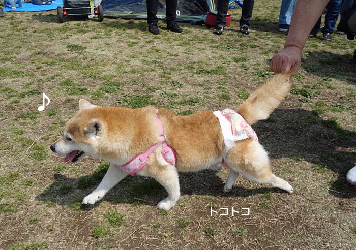 7日ブログ９