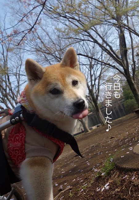 31日ブログ７