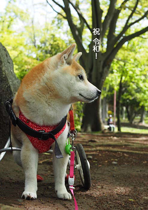 1日ブログ５