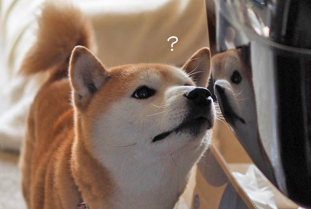 13日ブログ9