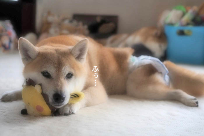 11日夜ブログ６