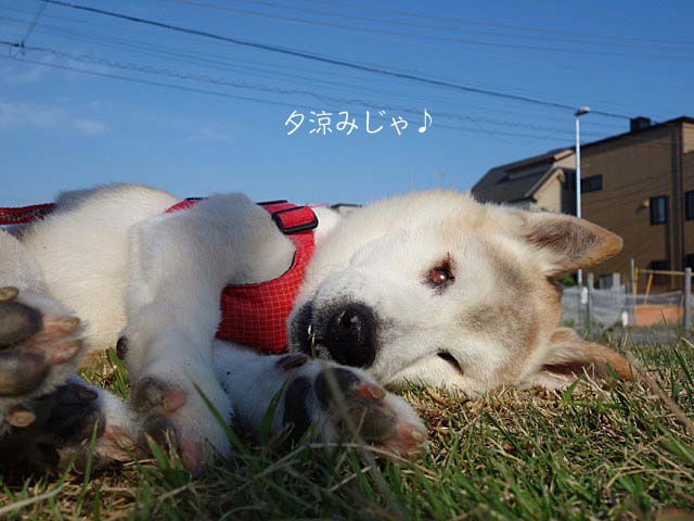 9日ブログ2