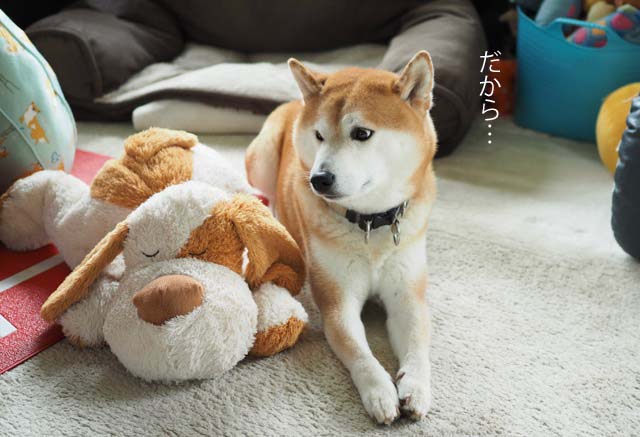 4日ブログ9