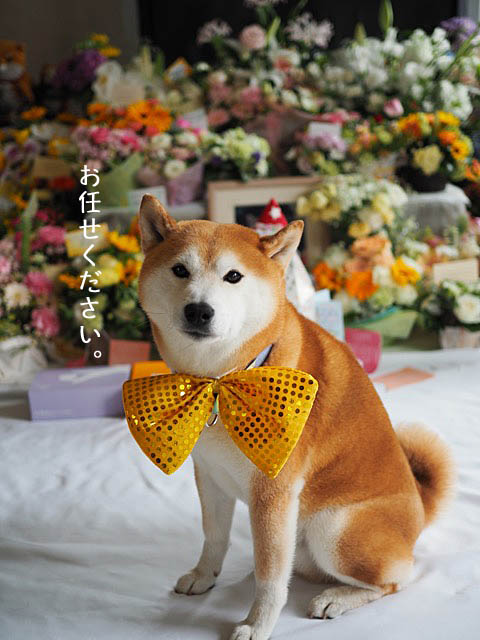 6日ブログ2