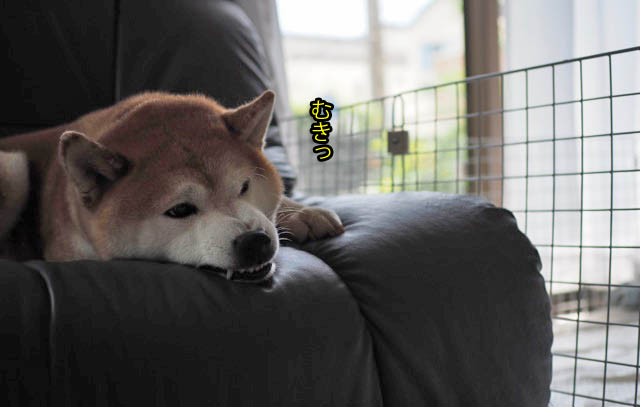 7日ブログ9