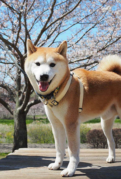 10日午後ブログ１０