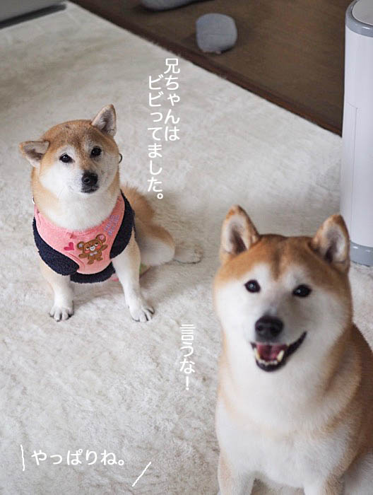 7日ブログ5