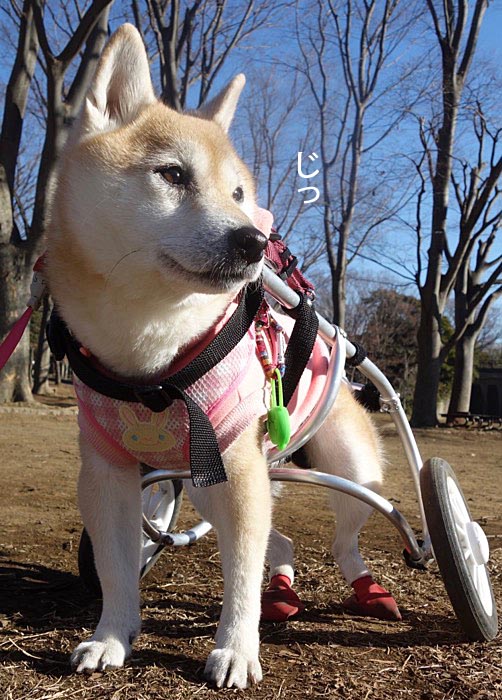9日ブログ3