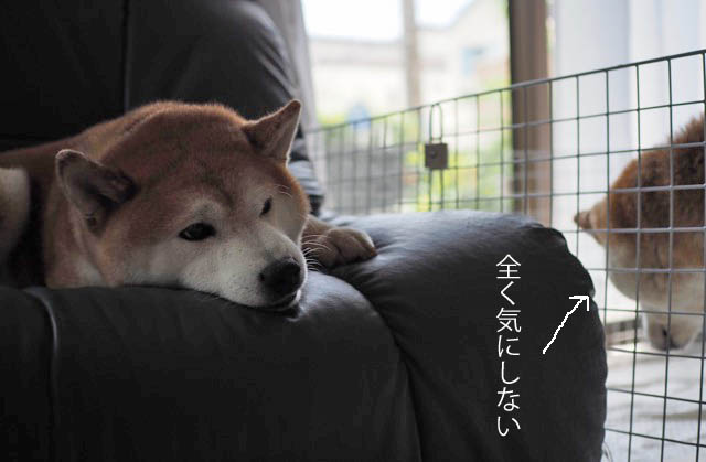 7日ブログ10