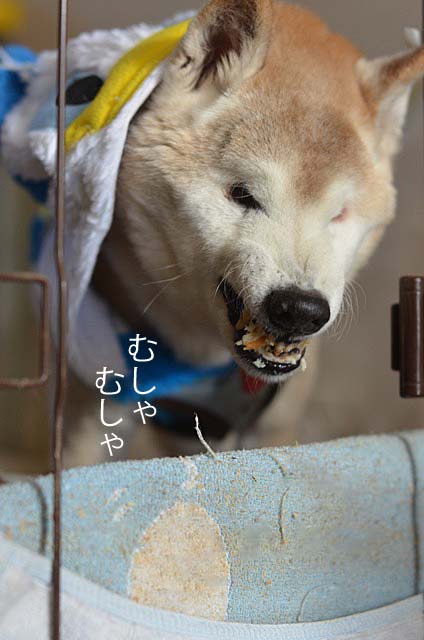 18日ブログ6