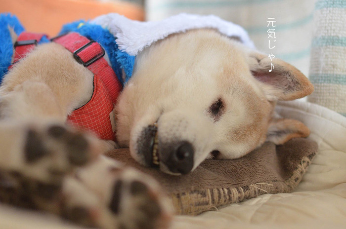 7日ブログ8