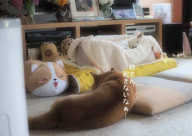 11日ブログ5
