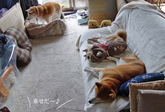 22日ブログ7