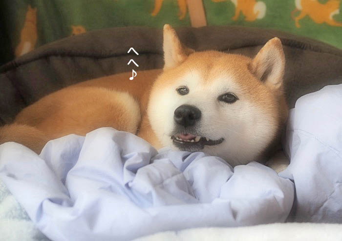23日ブログ６