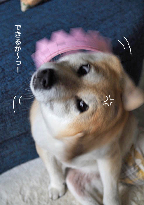 27日ブログ１０